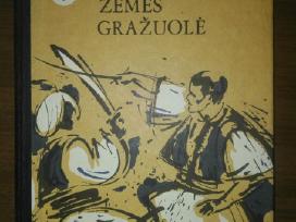 187. Žemės Gražuolė