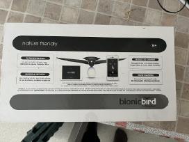 Bionic bird