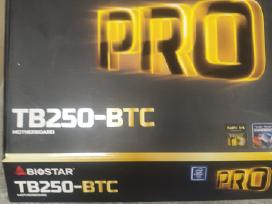 Motinine plokste Biostar TB-250-btc Kaina 90eur.