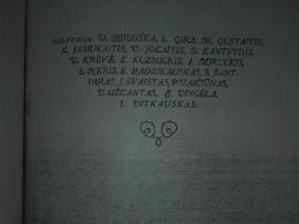 137. Gubos Literatūros Almanachas Biržiška V.