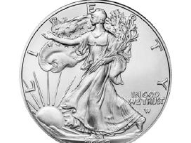 1 oz sidabrinė moneta Amerikos Erelis, JAV 2023