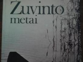 174. Žuvinto Metai Nedzinskas V.
