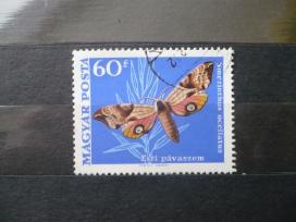 1969 Drugeliai