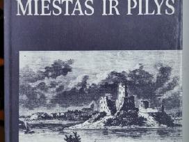 Trakų miestas ir pilys