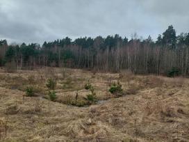Parduodamas žemės sklypas, Kretingos rajonas
