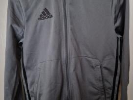 164cm ūgio adidas džemperis berniukui