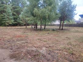 Medžių pjovimas,genėjimas,apleistų sklypų, šakų