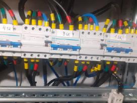 Patyręs elektrikas