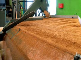 Iš ūkio - Pašarinės žolių sėklos pievoms-ganykloms