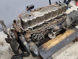 Ford mustang I6 variklis 1966 metu 200ci