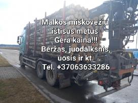 Malkos miškovežiu ištisus metus