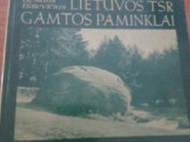 Lietuvos gamtos paminklai