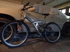Forester dviratis 26