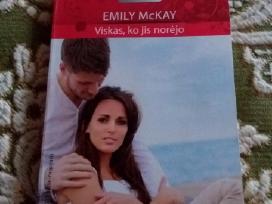 Emily Mckay Viskas, ko jis norejo, 2013 m. romana