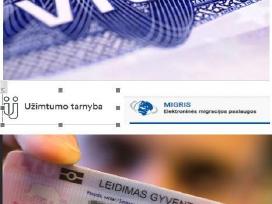 Darbuot legalizavimas Deklaravimas Med pažymos 95
