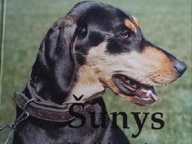 Knyga apie šunis
