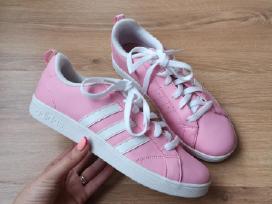 Adidas kedai