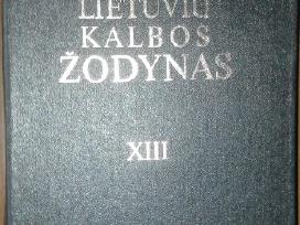 331. Lietuvių Kalbos Žodynas