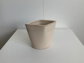 Vazelė