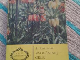 Svogūninių Gėlių Pražydinimas J. Rukšanas