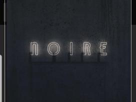 Vnv nation 2lp ( 2 ploksteles )