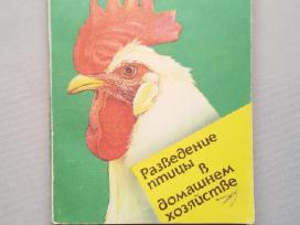 Knygelė paukščių perinimas namų sąlygomis