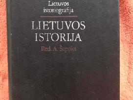 Šapoka. Lietuvos istorija.