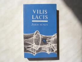 V. Lacis - Žvejo sūnus
