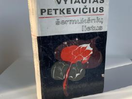 Knyga - Šermukšnių Lietus