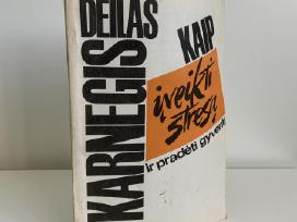 Knyga - Kaip įveikti stresą ir pradėti gyventi