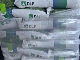 Dlf Vejinių žolių mišiniai ir ne tik