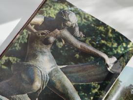 Fotografijų rinktinė albumas