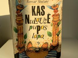 Knyga - Kas nulaužė pupos lapa