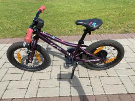 Scott contessa 16