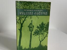 Knyga - Vilties aušros