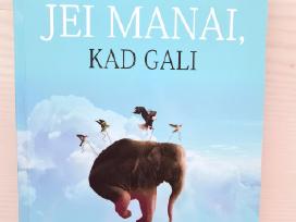 N. V. Peale "Tu gali, jei manai, kad gali"