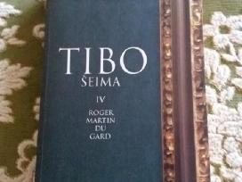 Roger Martin Tibo šeima III tomas 2008 m.