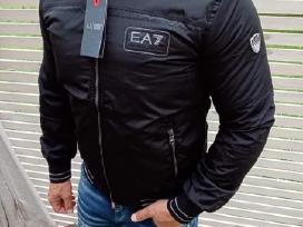 Armani,philipp Plein,boss,prada,striukes