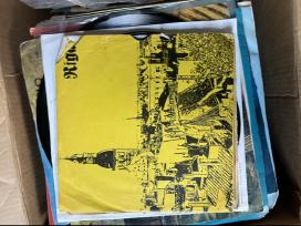 Vinilas daug ploksteliu.