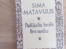 Sima Matavulis "Padūkėlis brolis Bernardas"