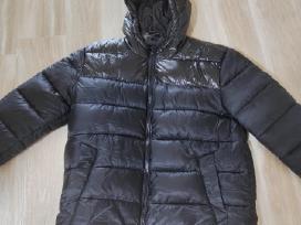 Livergy silta striuke