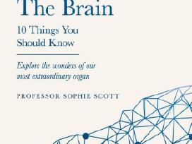 The Brain: 10 Things You Should Know