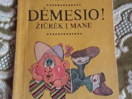 Violeta Palčinskaitė, Kazys Saja Dėmesio! Žiūrėk