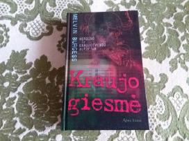 Kraujo Giesmė Melvin Burgess 2008 m.