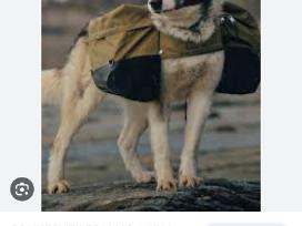 Laika firmos krepsiai suniui/augintiniui