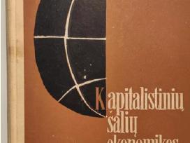 Kapitalistinių šalių ekonomikos istorija