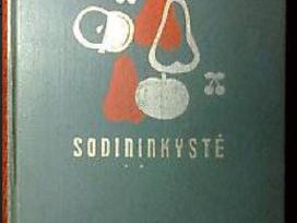 Sodininkystė