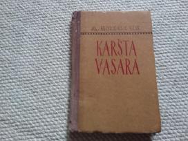 Karšta Vasara Augustinas Gricius 1955 m.