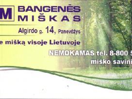 Perkame mišką, žemę visoje lietuvoje - nuotraukos Nr. 2 | Skelbiu.lt Perkame mišką, žemę visoje lietuvoje - nuotraukos Nr. 2