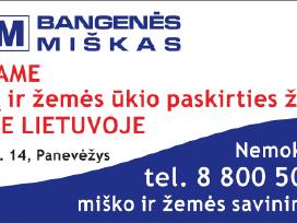 Perkame mišką, žemę visoje lietuvoje | Skelbiu.lt Perkame mišką, žemę visoje lietuvoje